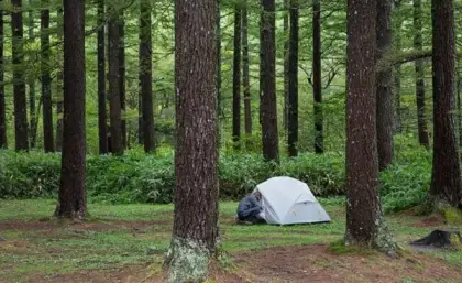 چادر دو نفره مونگار برند نیچرهایک (Naturehike) مدل NH17T007