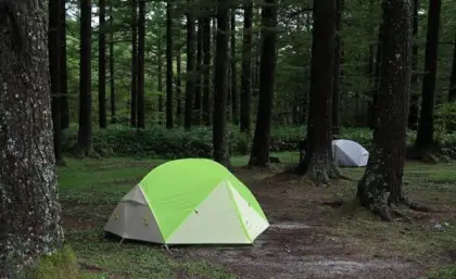 چادر دو نفره مونگار برند نیچرهایک (Naturehike) مدل NH17T007