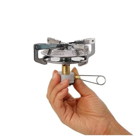 سرشعله چهارپر پهن کمپسور (CAMPSOR)