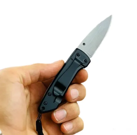 چاقوی جیبی تاشو مدل BUCK-1002