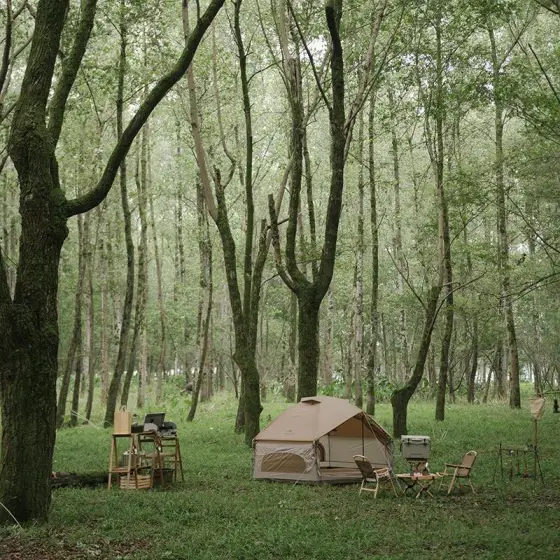 چادر شش ضلعی نیچرهایک مدل NH21ZP001