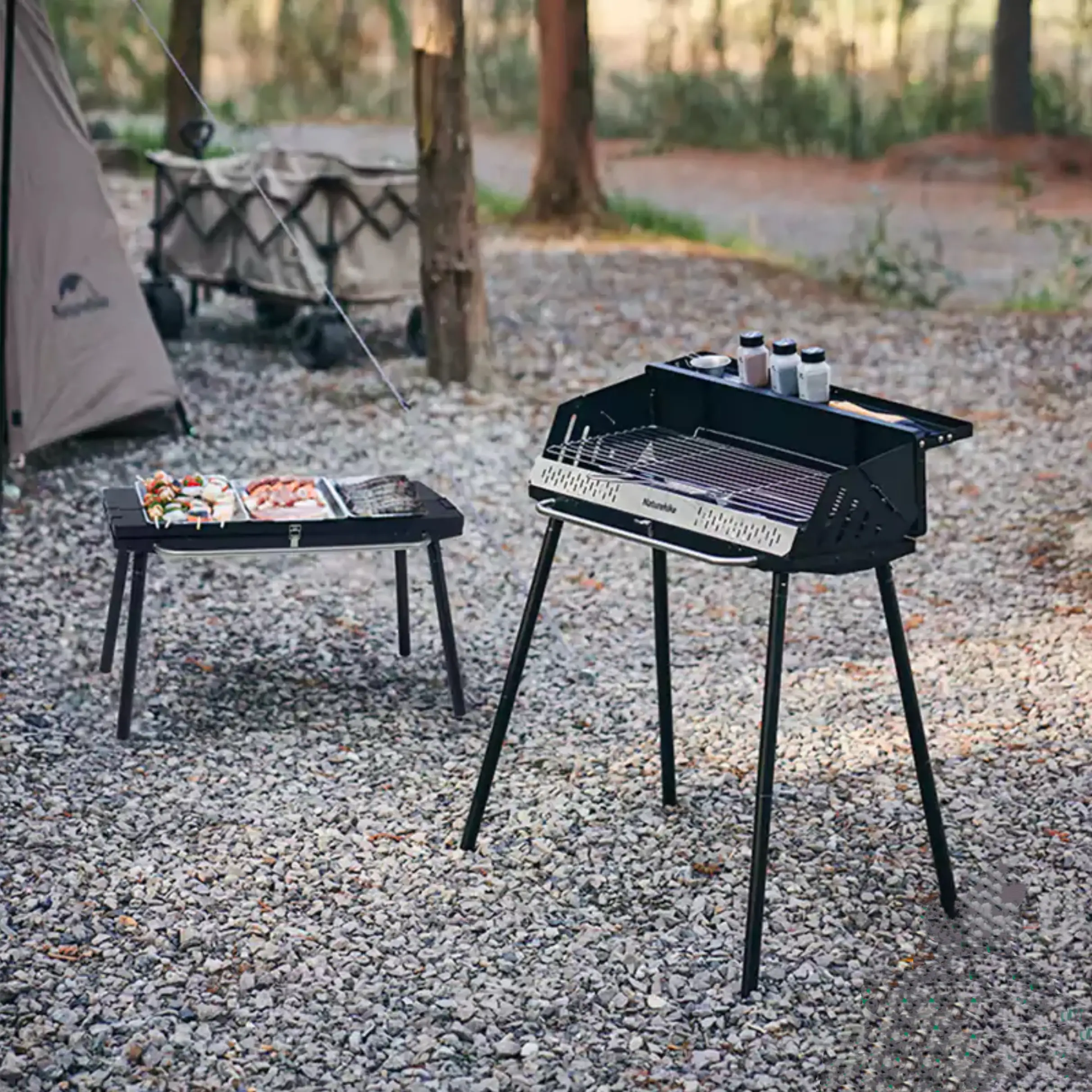 باربیکیو ایستاده تاشو نیچرهایک مدل CNK2300015