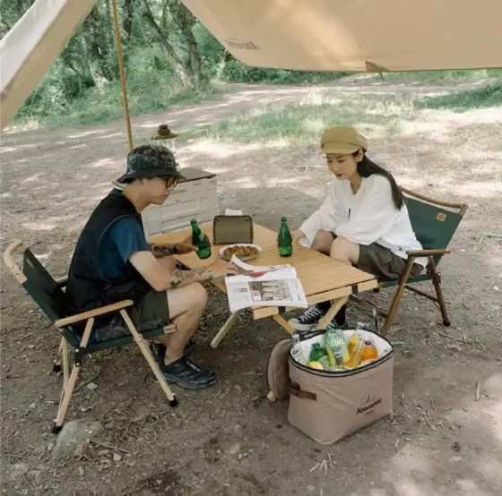 یخدان تاشو 20 لیتر نیچرهایک مدل NH20SJ043