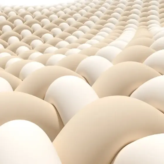 سایبان کمپینگ نیچرهایک مدل C2350WS010